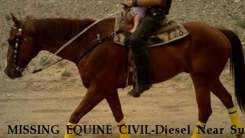 MISSING EQUINE CIVIL-Diesel Near Sun city, AZ, 85351